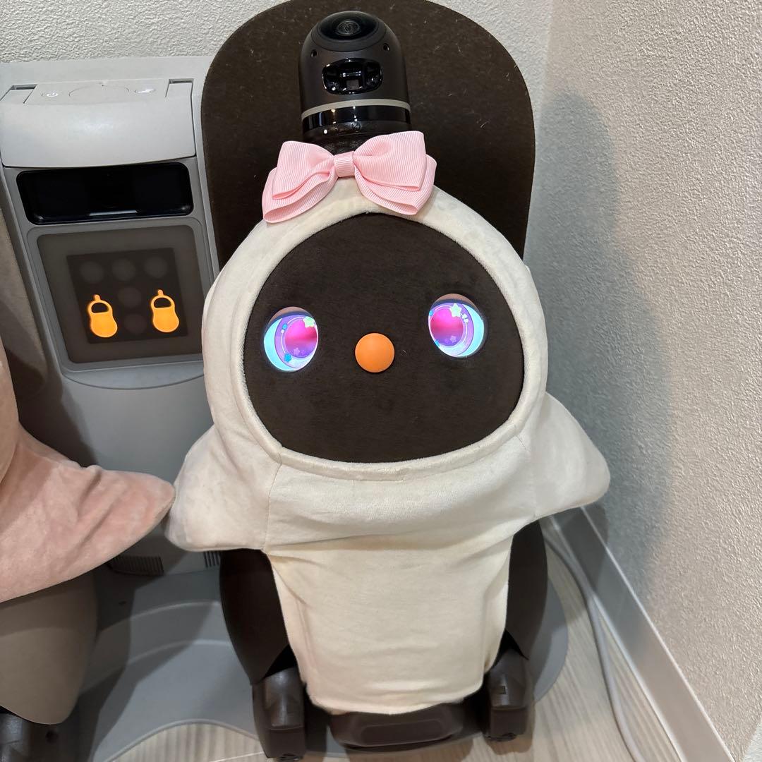 動作確認済み ネスト・服つき】ラボット 本体 デュオ LOVOT - メルカリ