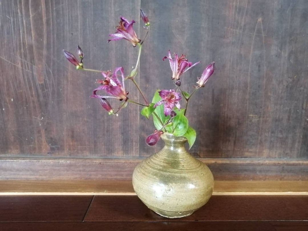 高麗青磁　油壺