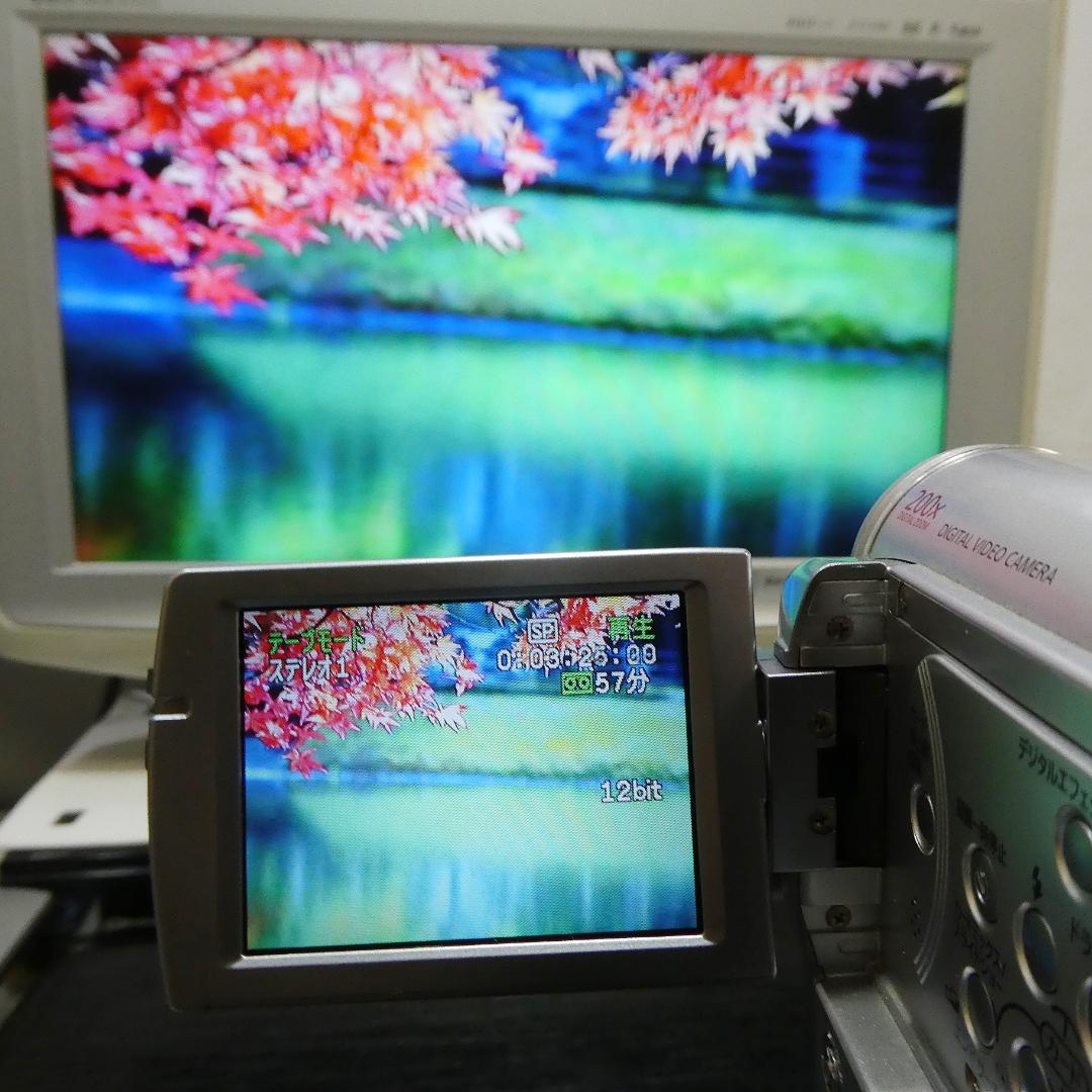 動作良好 キャノン DM IXY DV M3 MiniDVビデオ DVD化に最適