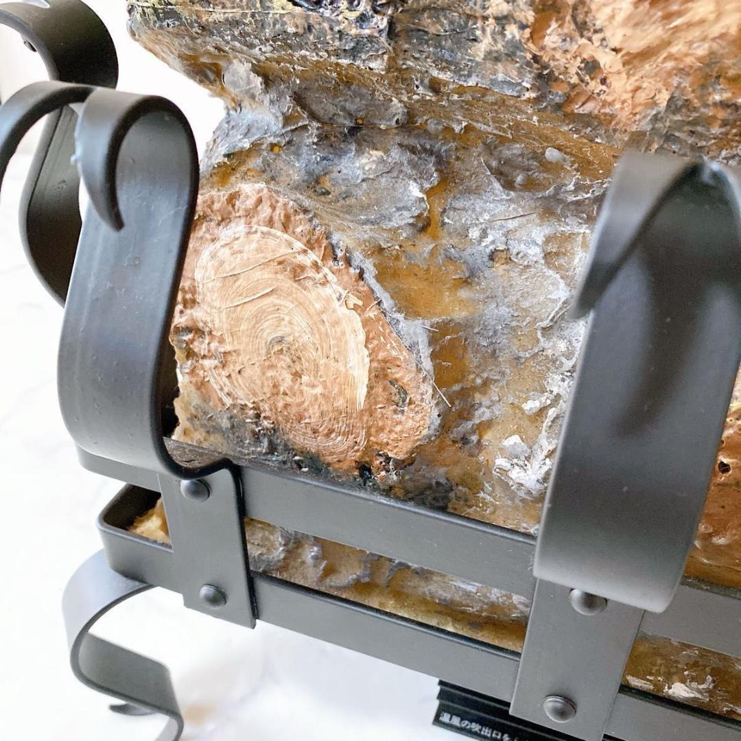 Dimplex ディンプレックス 電気暖炉 おしゃれ 炎 冬 インテリア HEATEC