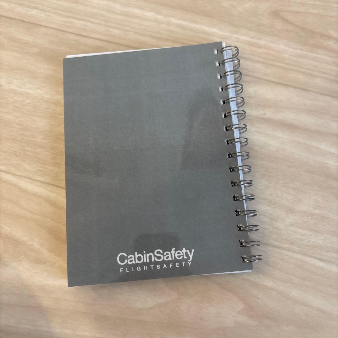 超レア入手困難 航空ファンやこれからCAになる方へ CA 客室乗務員