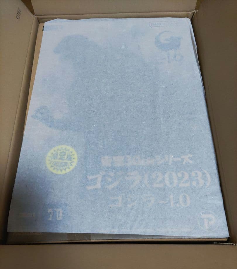東宝30cmシリーズ ゴジラ(2023) 少年リック限定版 ゴジラ -1.0