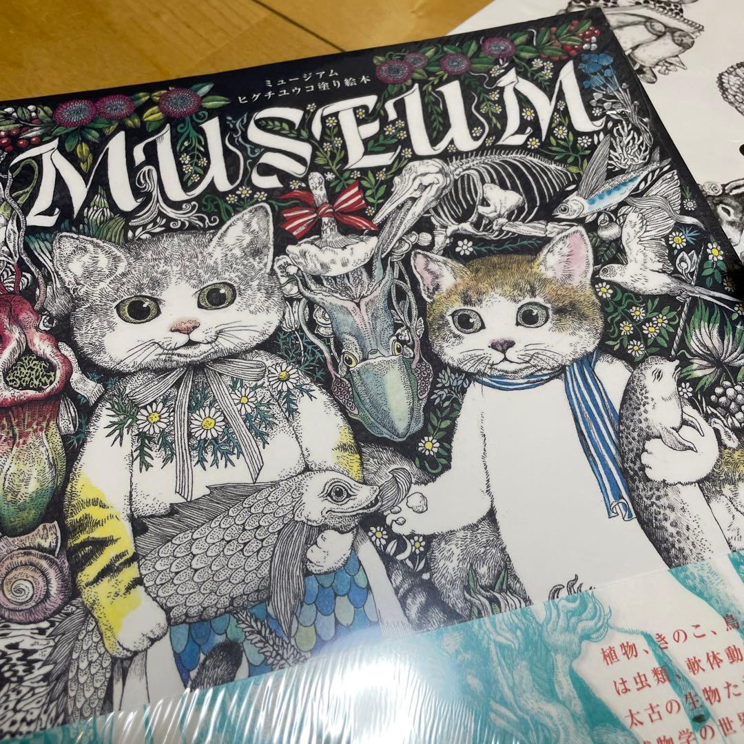 ヒグチユウコ 塗り絵、クロッキー帳、色鉛筆3点セット