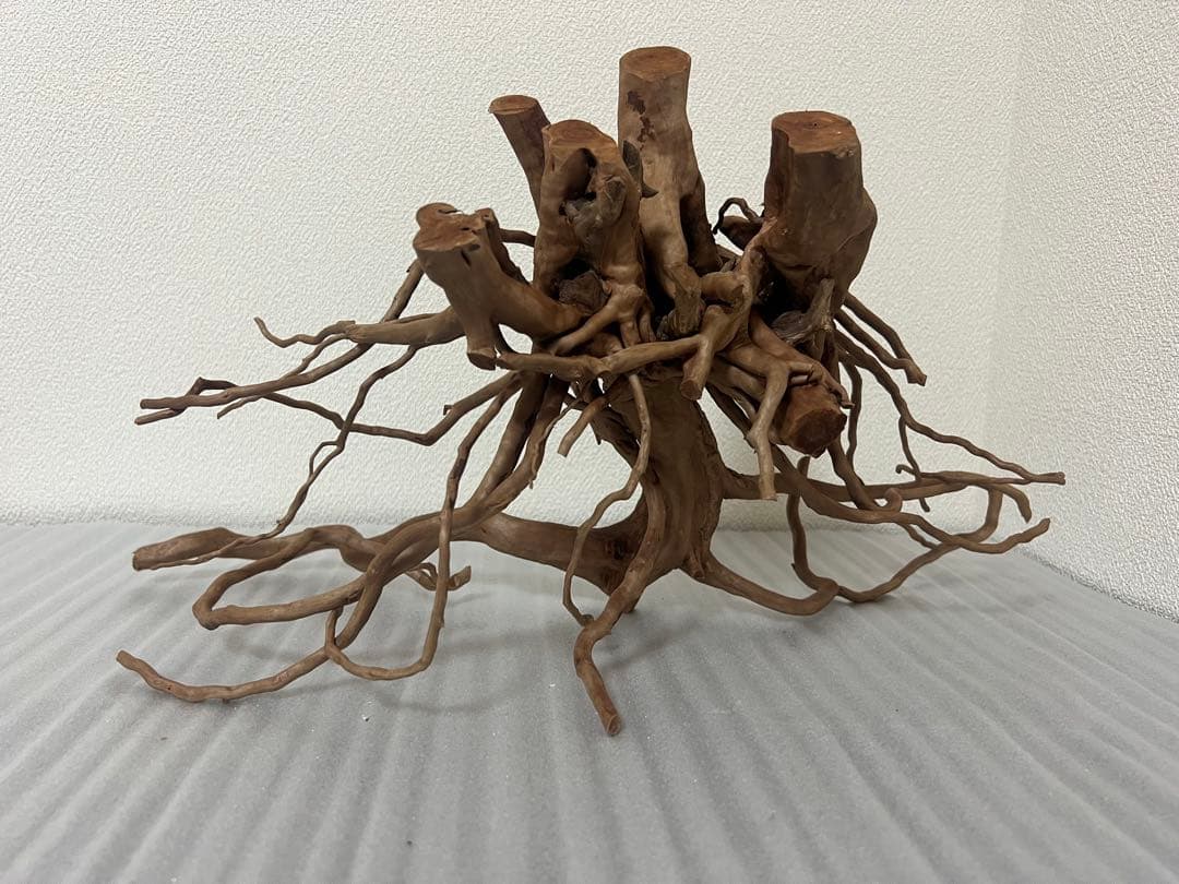 32613 ブランチウッド 流木 アクアリウム - メルカリ