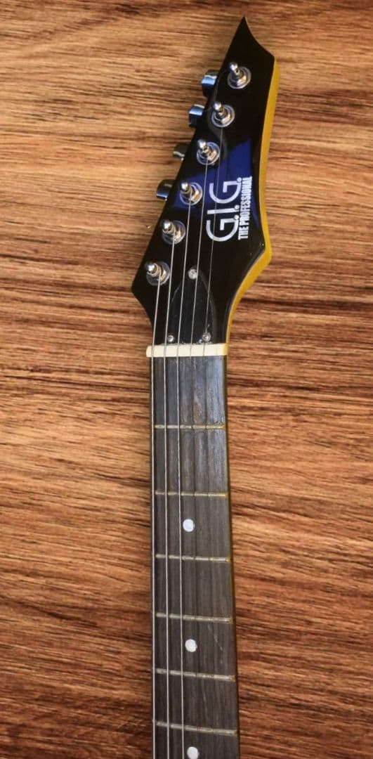 GIG THE PROFESSIONAL・ギター・ ソフトケースつき