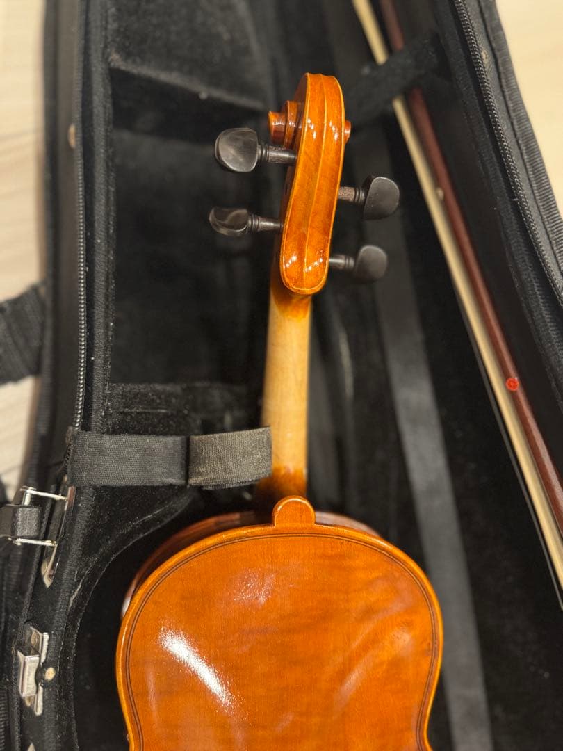 1/8バイオリン EASTMAN VL80 2018年制