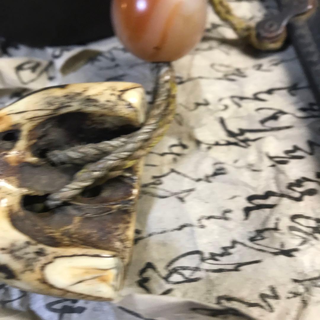 獣牙 根付 呪物 ニホンオオカミ 熊 煙草入れ キセル 漆 緒締め 玉 メノウ