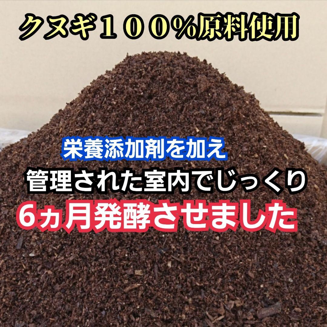 カブトムシ幼虫が大きくなる！産卵にも抜群です！ヒマラヤひらたけ発酵