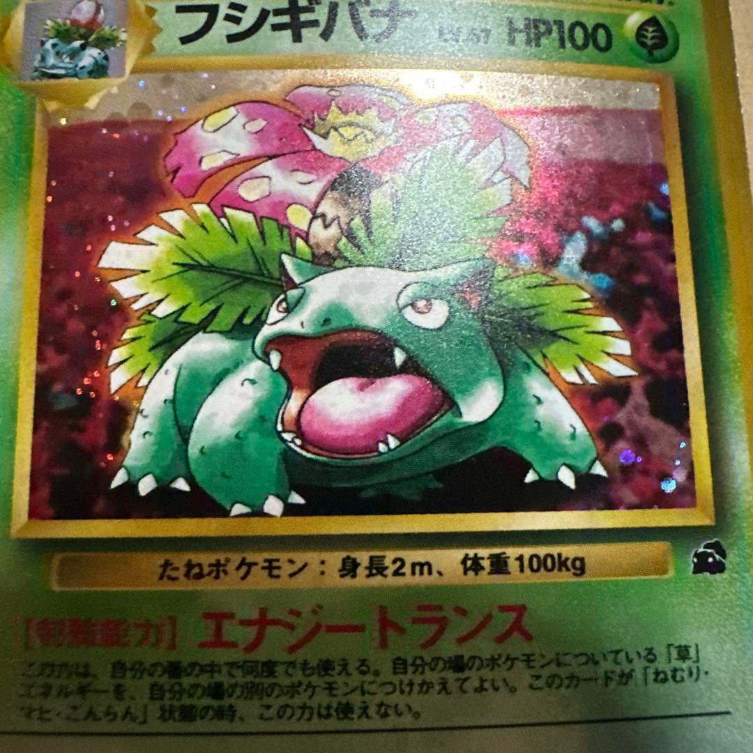 ポケモンカード 旧裏 フシギバナ カメックス イントロパック