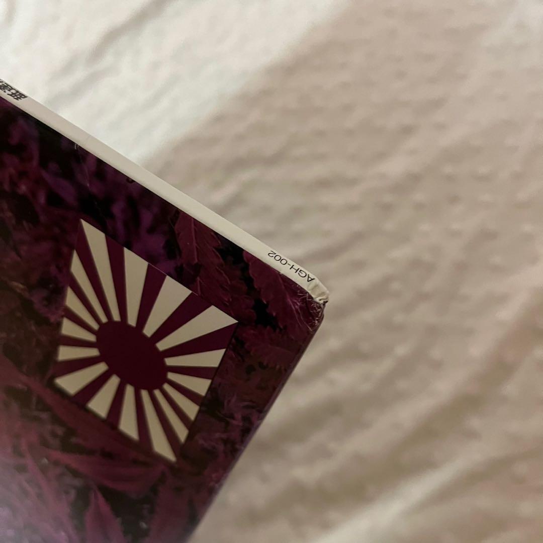 舐達麻　 NORTHERNBLUE1.0.4. レコード LP