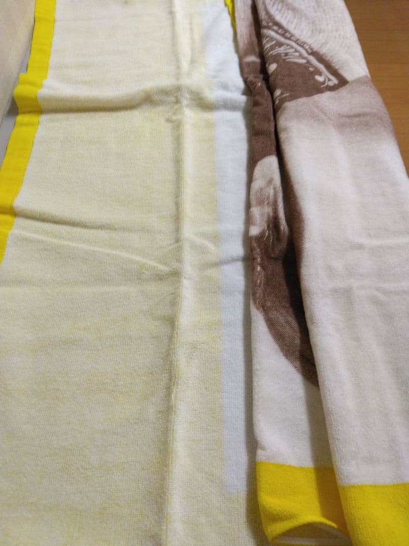 森高千里 BIGタオル/サイン入り 非売品 新品未使用品 入手困難稀少品