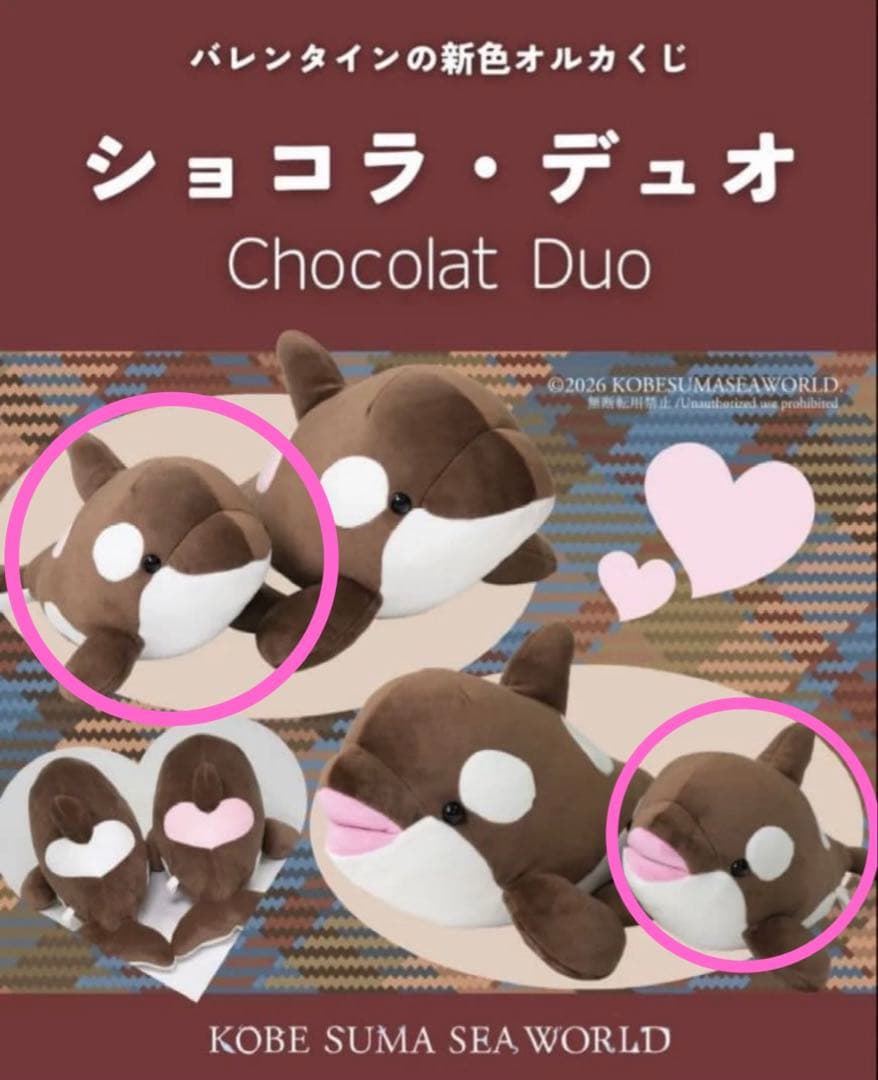 神戸須磨シーワールド オルカくじ バレンタイン限定カラー ショコラ