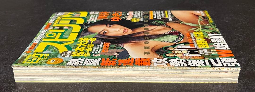 ●ビッグコミックスピリッツ 2006年 36・37号