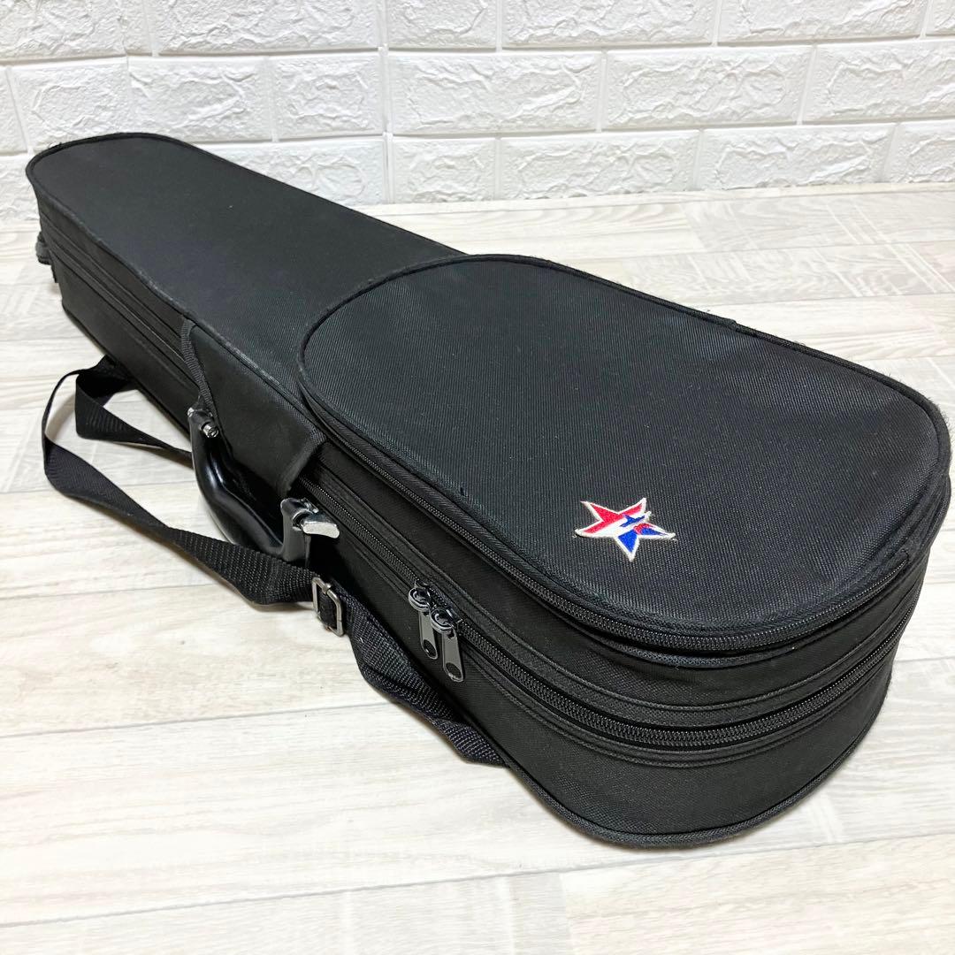 【中古良音】HORA reghin 1/2サイズ　バイオリン　美品　良音