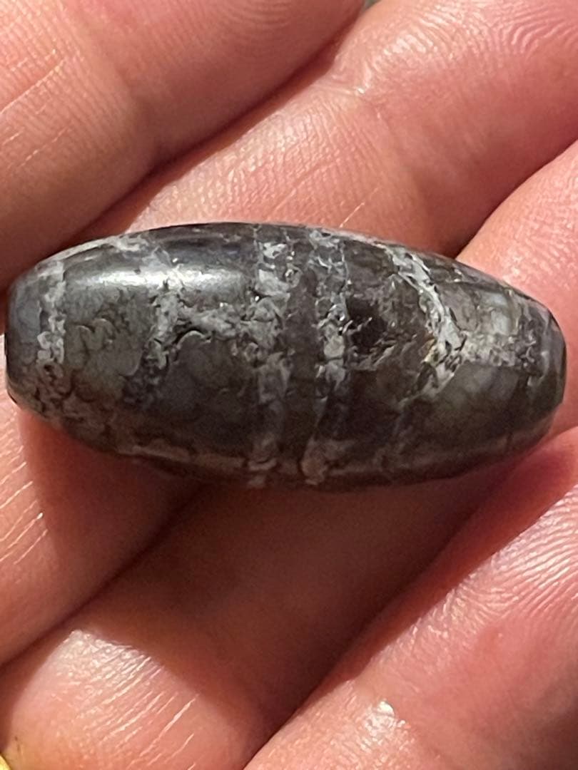 出土 双亀甲天珠 出土 双亀甲天珠 高級至純天珠】亀甲長壽