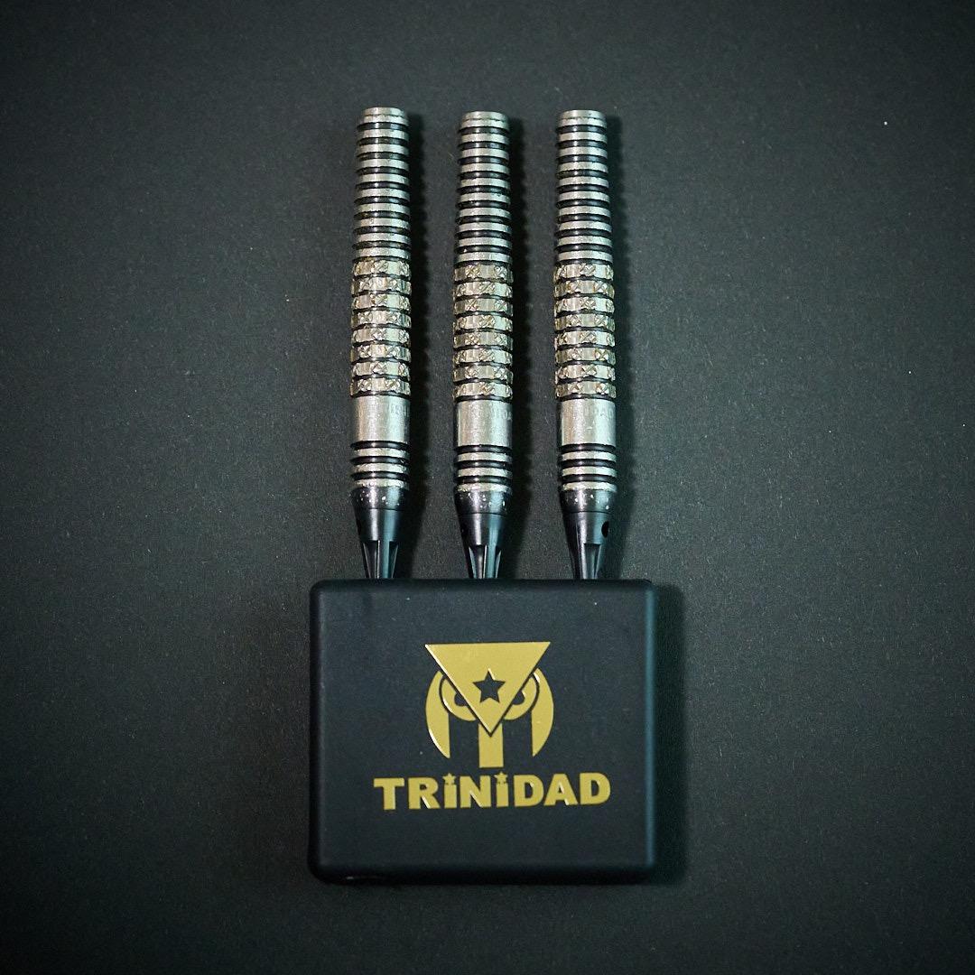 S-DARTS限定版【トリニダード】リカルドα 浅田斉吾モデル 2BA