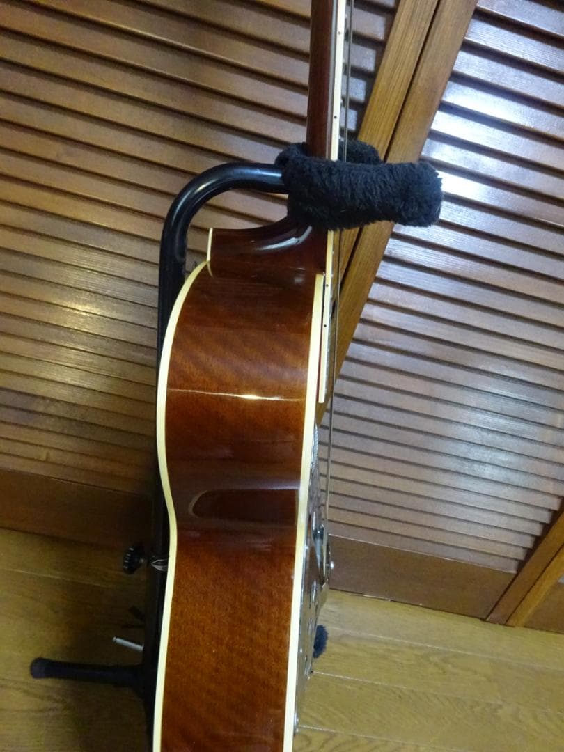 PLAYTECH ( プレイテック ) RG10 エレクトリック・リゾネーターギター