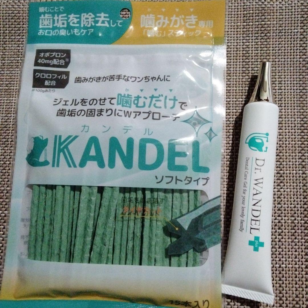 ドクターワンデル カンデル 6セット デンタルガム