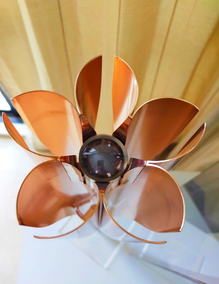 美品値下！☆聖火トーチ 東京オリンピック2020 鑑賞ケース