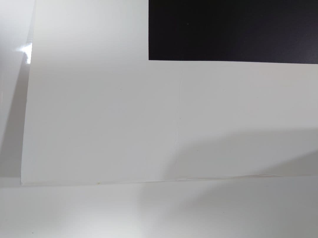 ディズニーワールド 直筆サイン 2000 限定 ポスター リトグラフ パレード