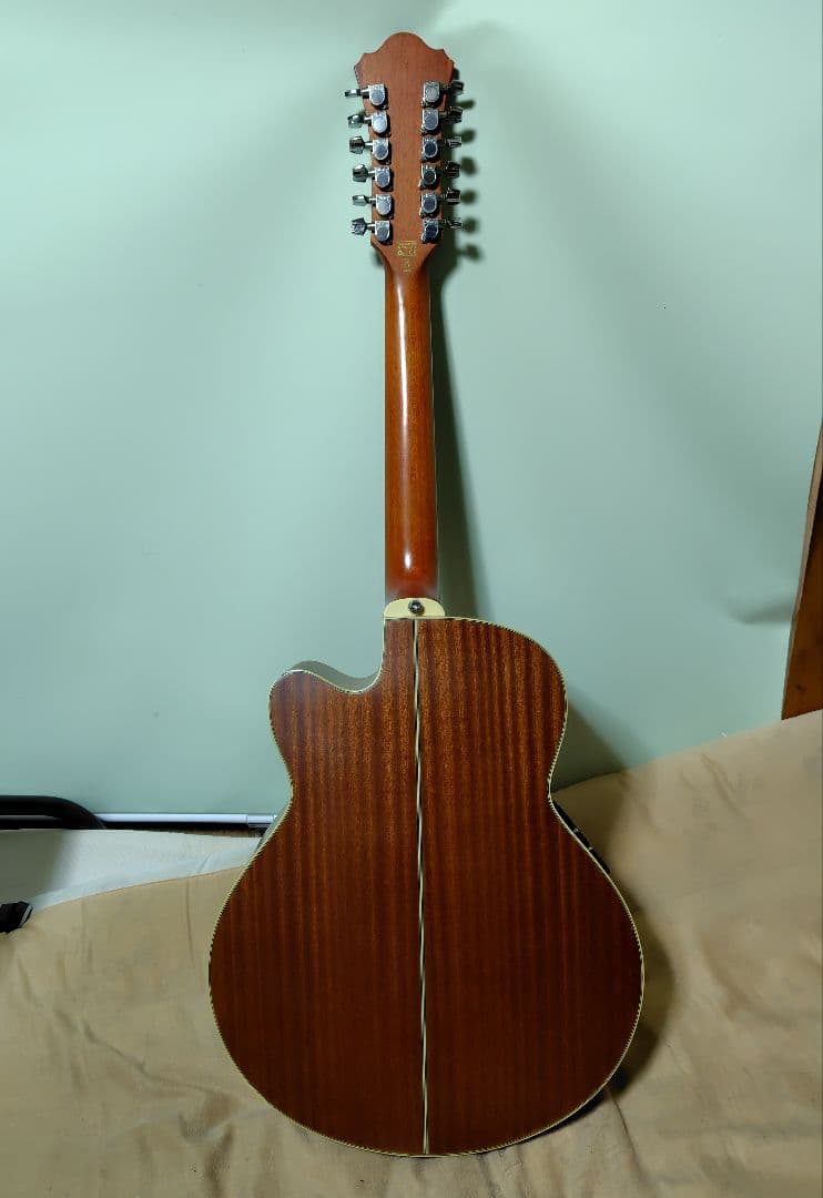 12弦エレアコ】Ibanez ／弦高低め弾きやすい・ソフトケース付・値段応