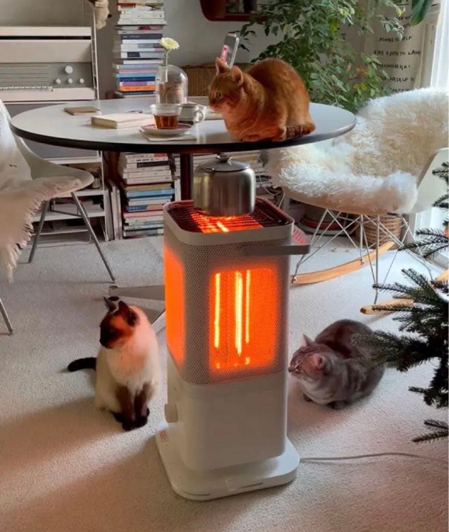 edir カーボンヒーター 5面 Penta Carbon Heater