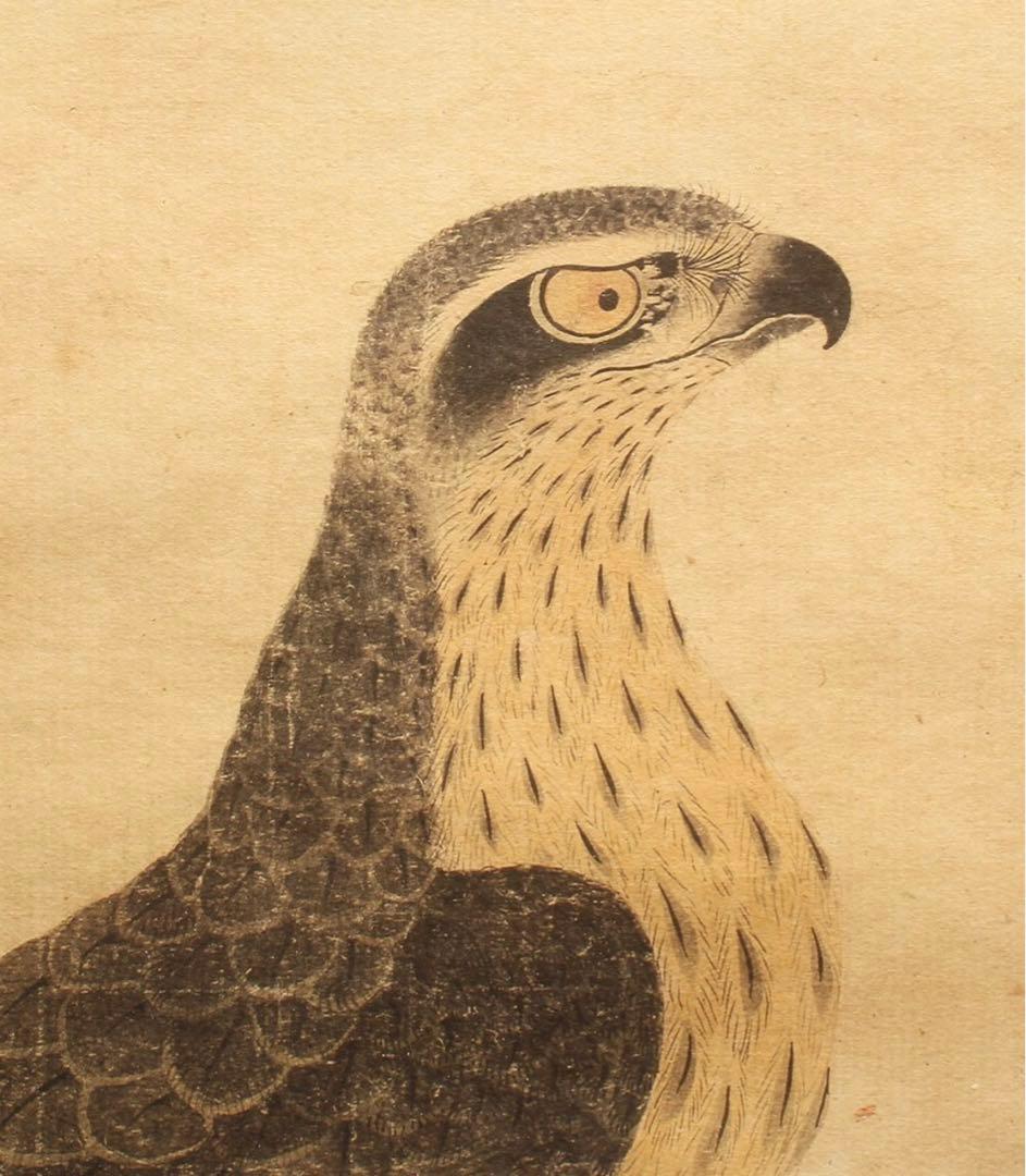 土岐頼芸 工芸品 「鷹図」 掛軸 紙本 日本画 美濃国守護大名　複製工芸掛け軸