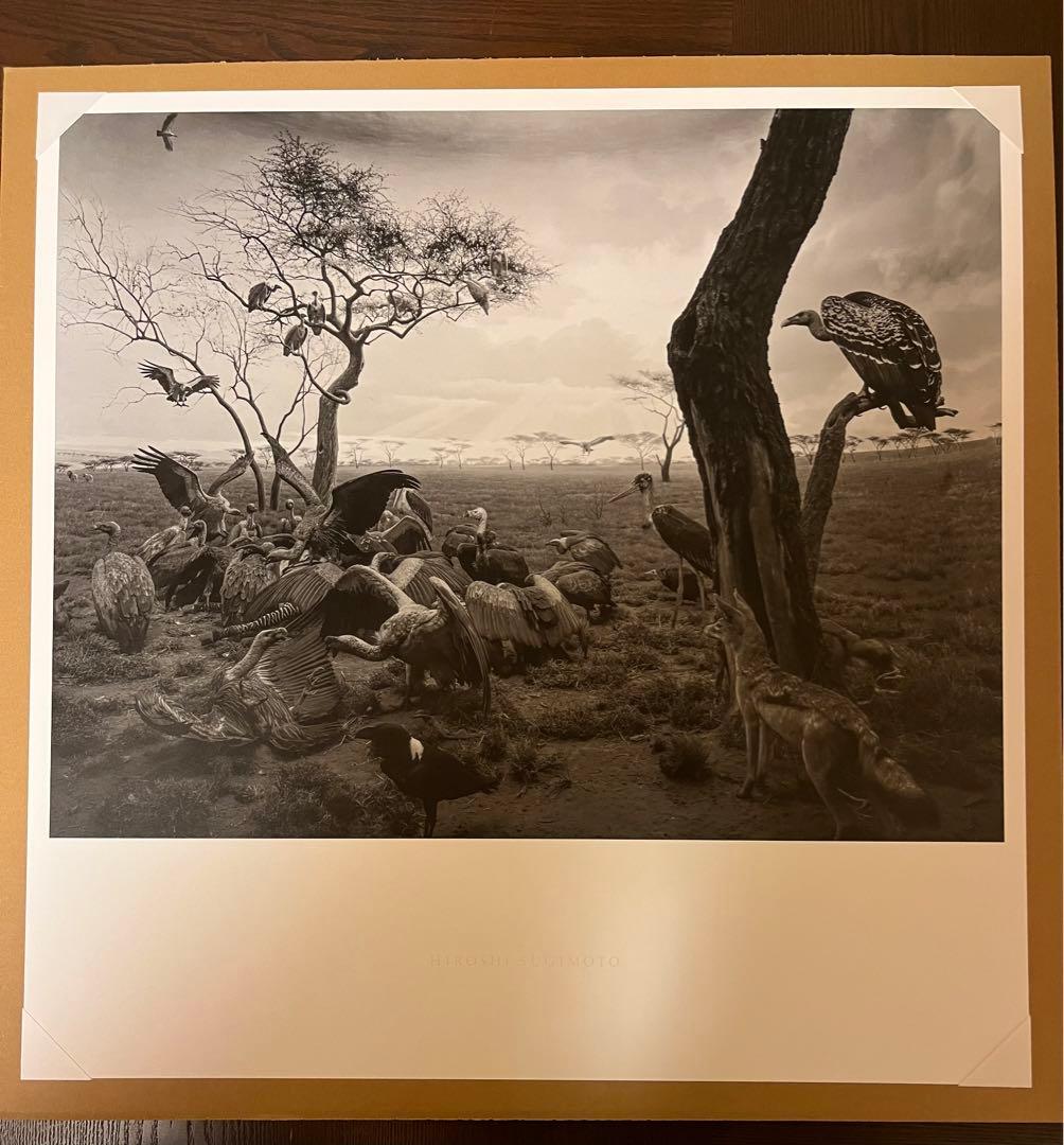 杉本博司 ポスターセット『大きな女性像』 『ハイエナ、ジャッカル