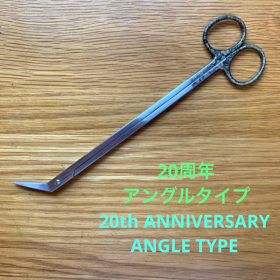 20周年］ADA プロシザース アングルタイプ