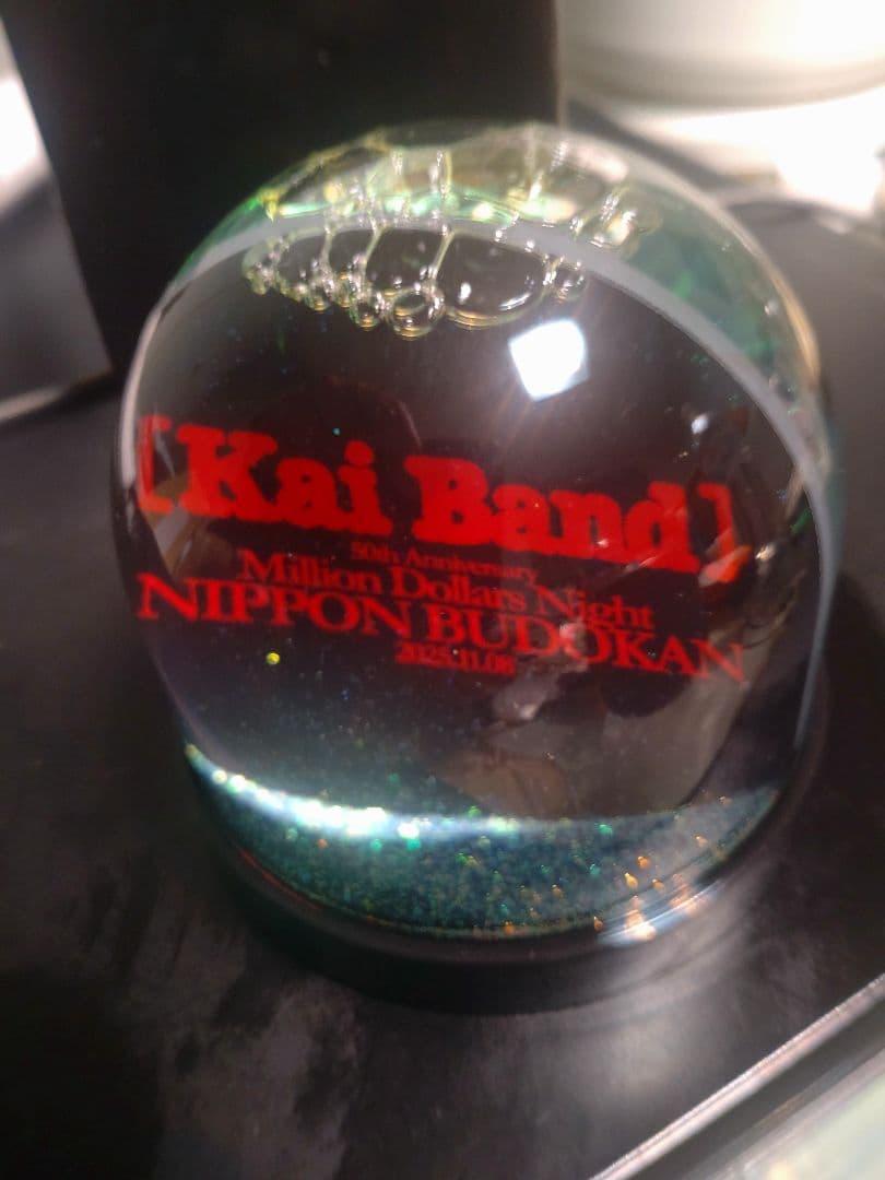 ○甲斐バンド、日本武道館ライブ VIP特典 Snow Dome - メルカリ