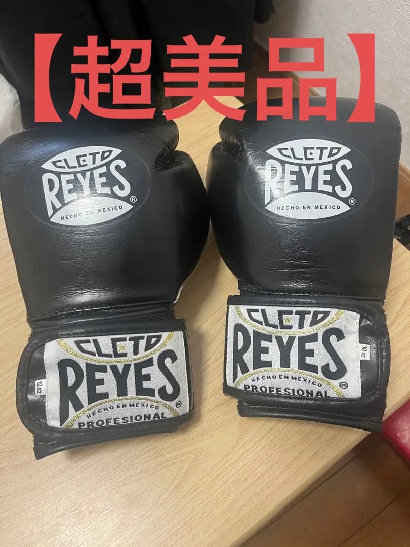 レイジェスボクシンググローブベルクロ式10オンス【超美品】