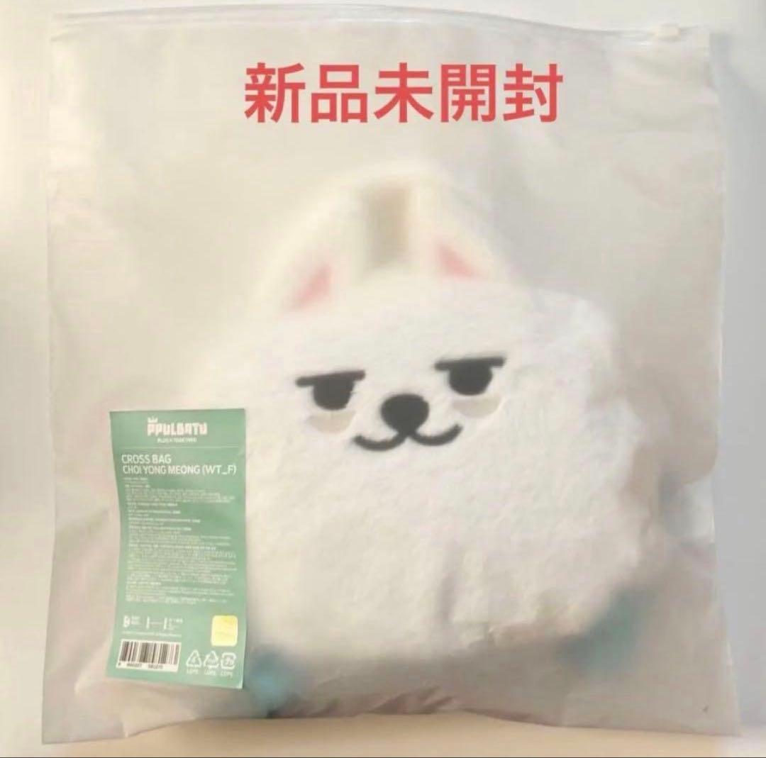 TXT スビン クロスバッグ ヨンモン プルバトゥ PPULBATU ソウルコン