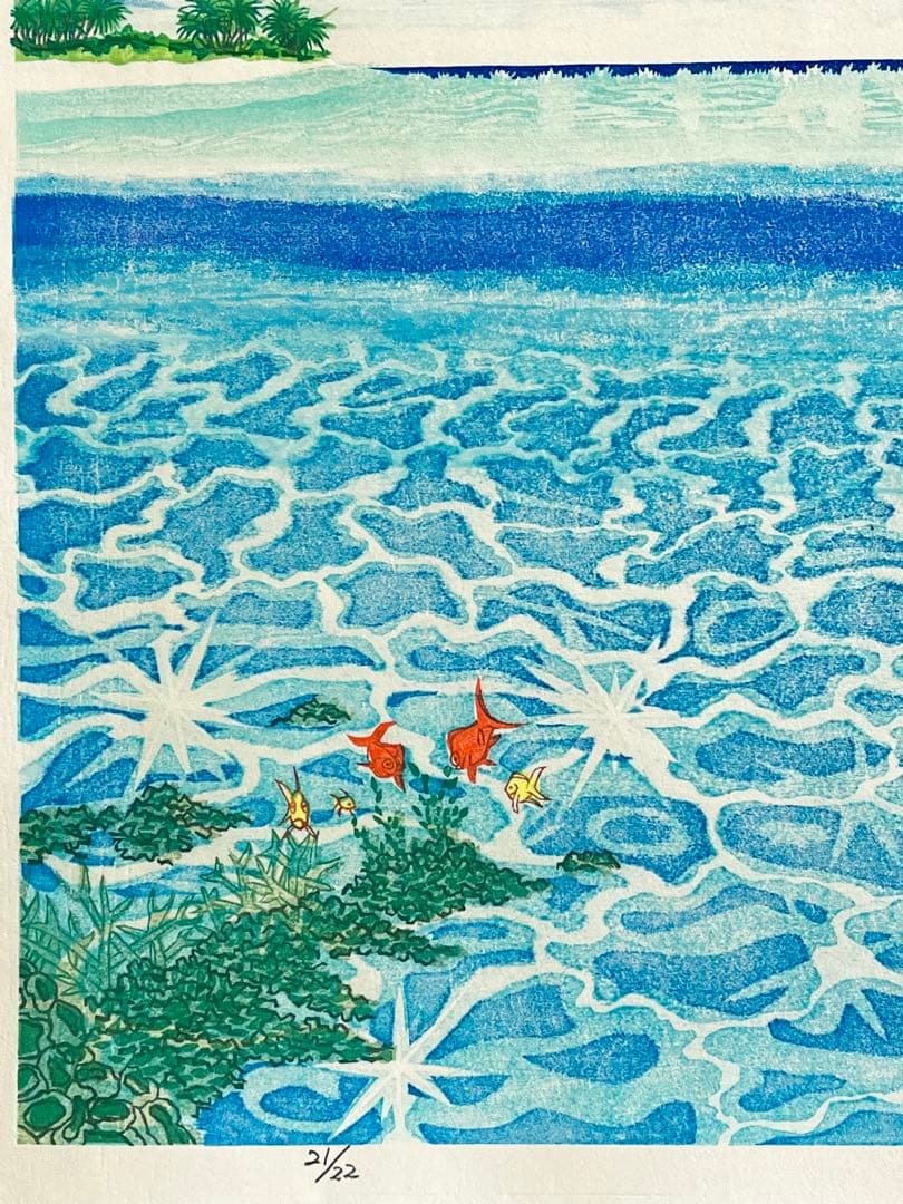 Southern blue 』 カノコダカラ貝