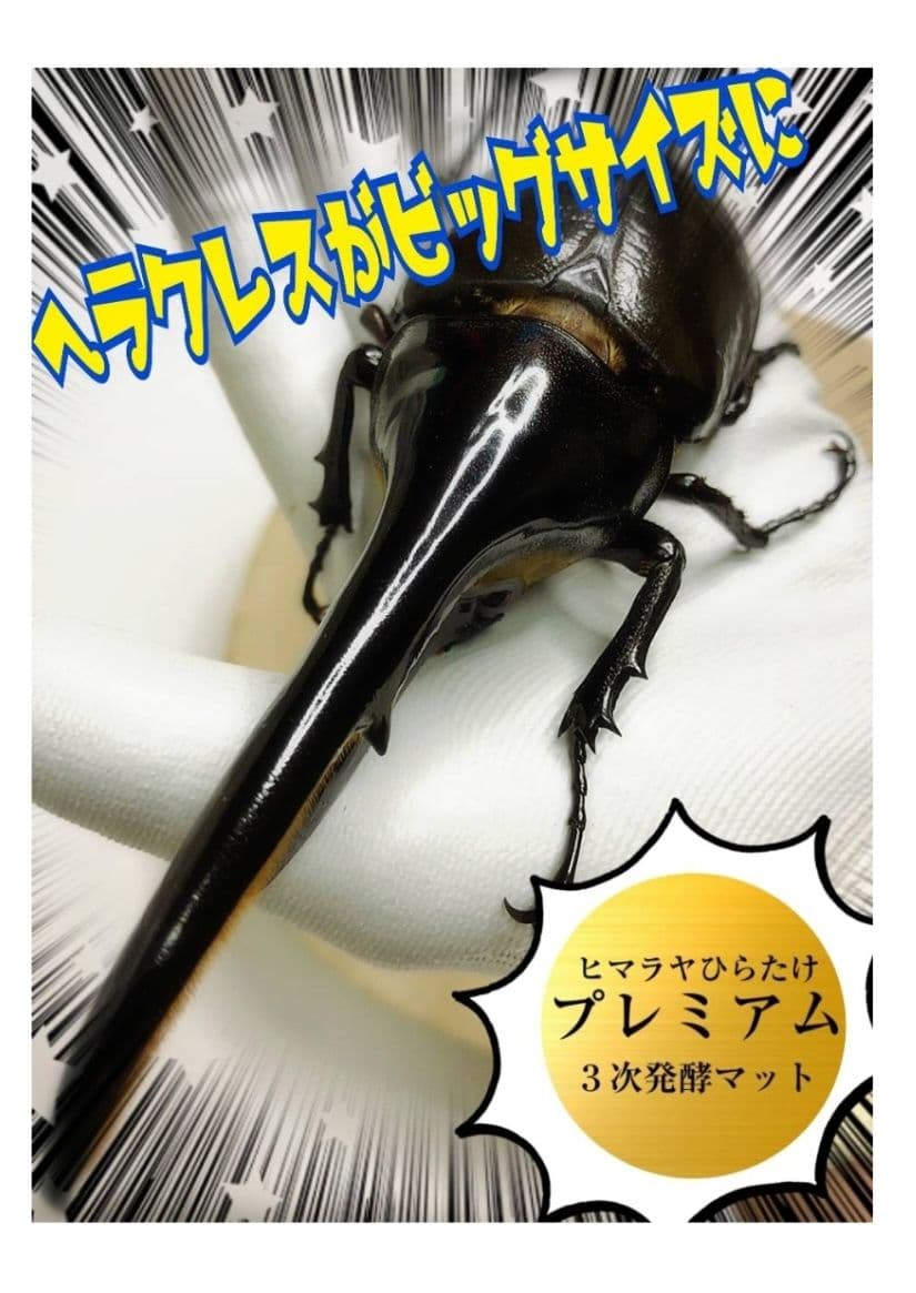 極上！プレミアム3次発酵ヘラクレスマット【80L】特殊アミノ酸強化配合