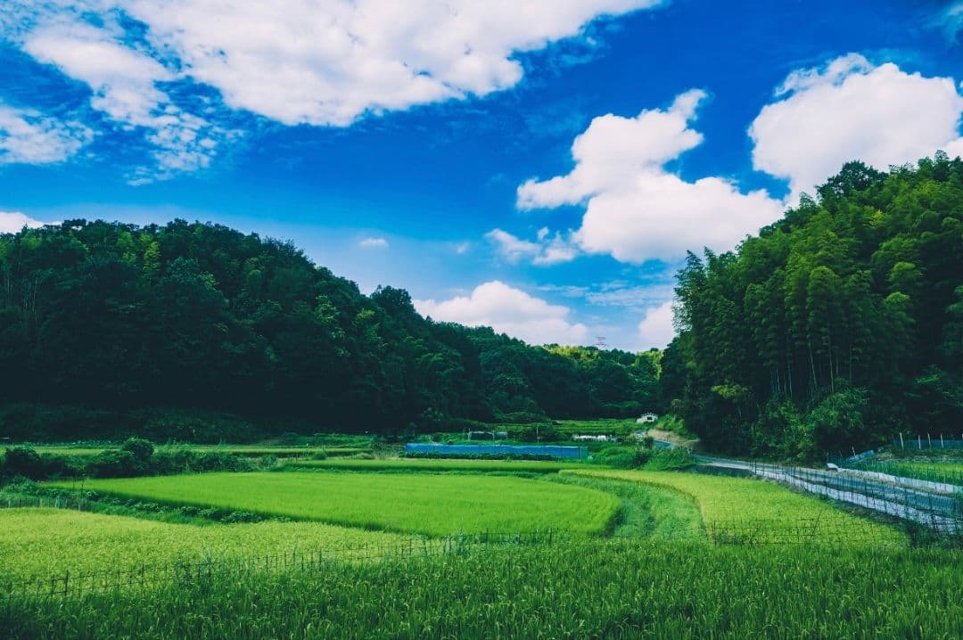 元箱付】LEICA Q2 完動品ブラックミスト・予備バッテリー付」作例有