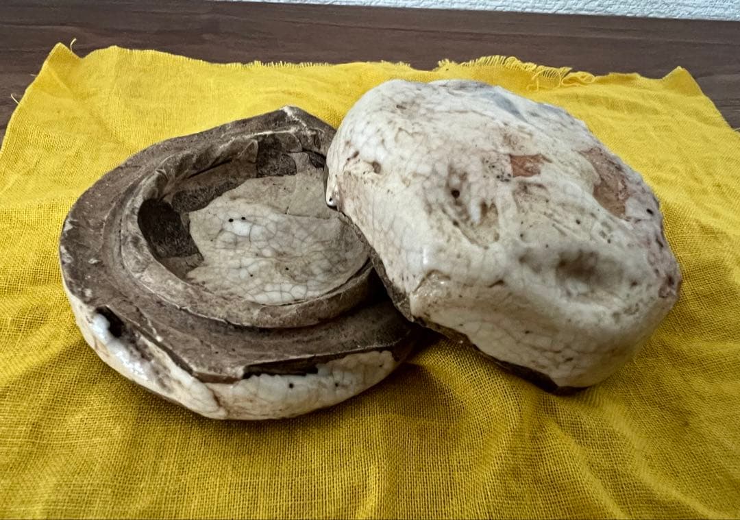 茶道具 志野焼 絵志野 香合(花押有)箱付き 箱書有 江戸千家 如心斎 弧峰