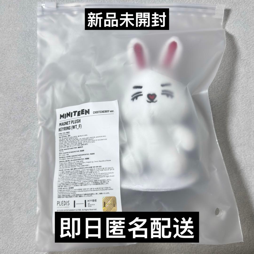 セブチ seventeen miniteen エスクプス マグネットキーリング - メルカリ