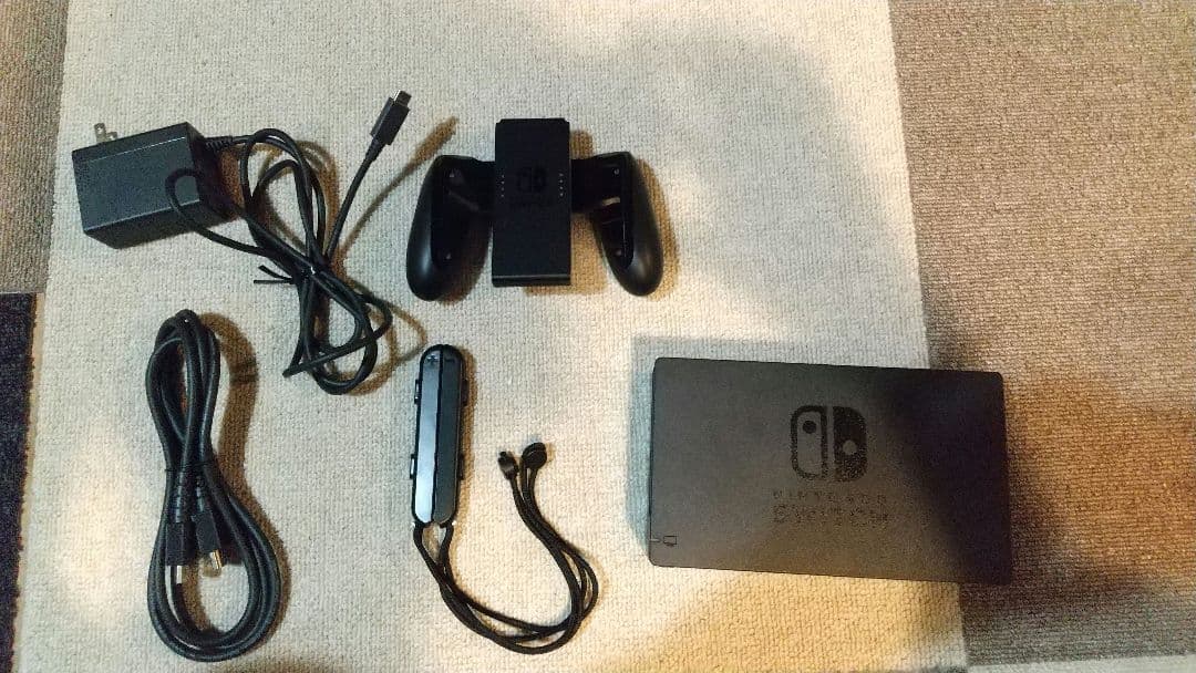 Nintendo Switch グレー ケース付き