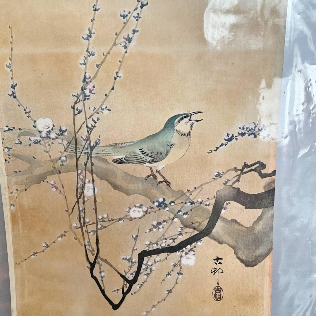 小原古邨 祥邨 豊邨 『梅に鶯』 明治後期作 木版画 真作 美品 鳥