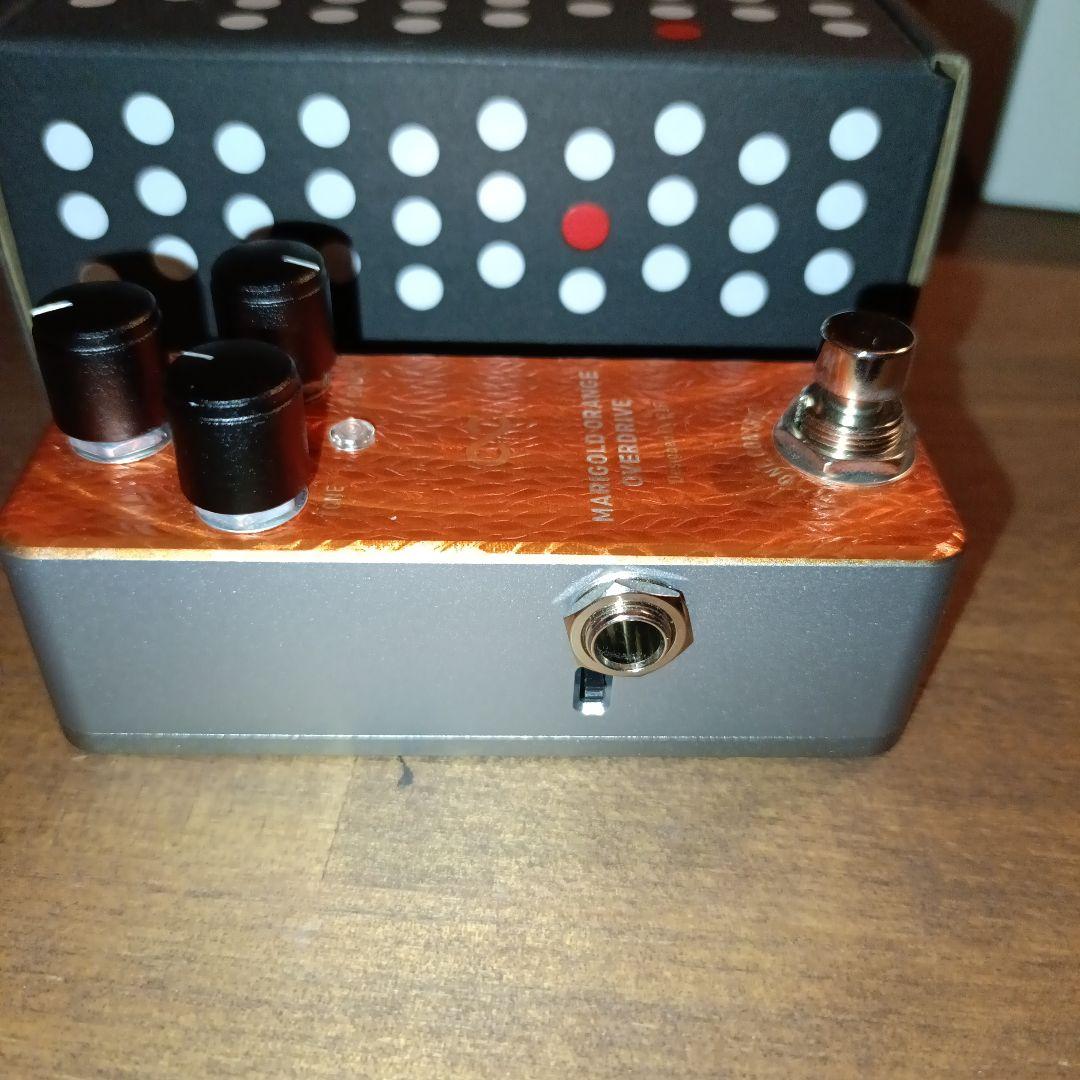 10月31まで！MARIGOLD ORANGE OVERDRIVE