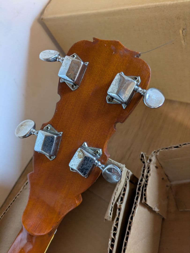 ピアレス　バンジョー5弦　※箱付き