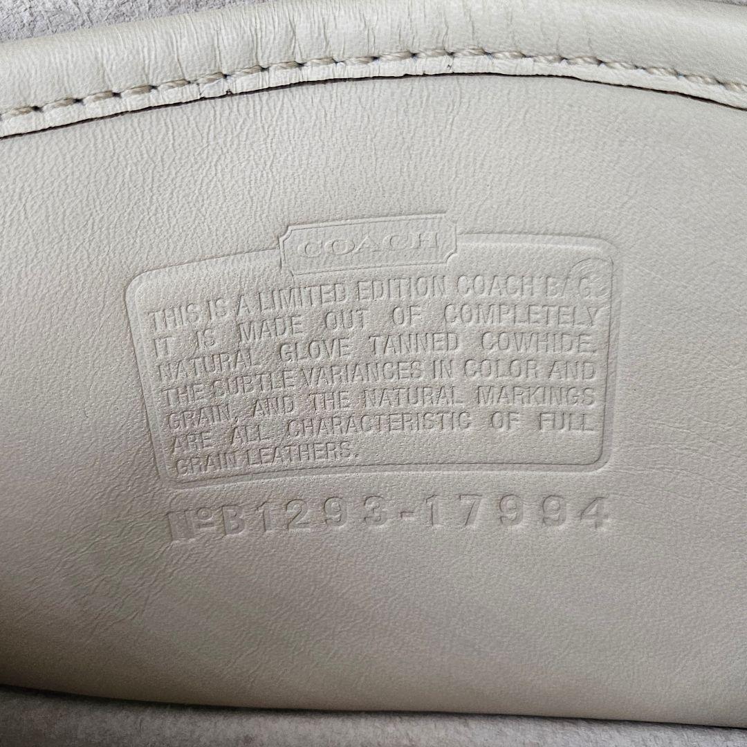 さくらにゃんこ