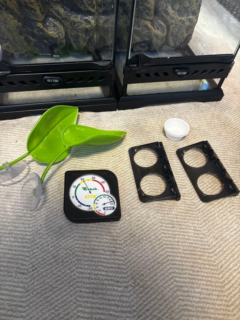 クレステッドゲッコー 飼育セット×2