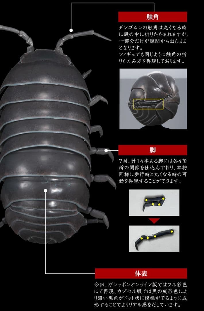 オンライン限定 いきもの大図鑑 ダンゴムシ（重塗装版） 全3種 コンプ