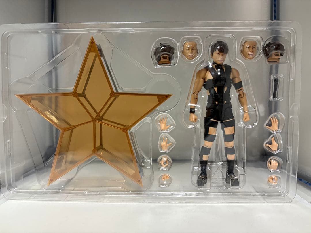 s.h.figuarts t.m.revolution 西川貴教