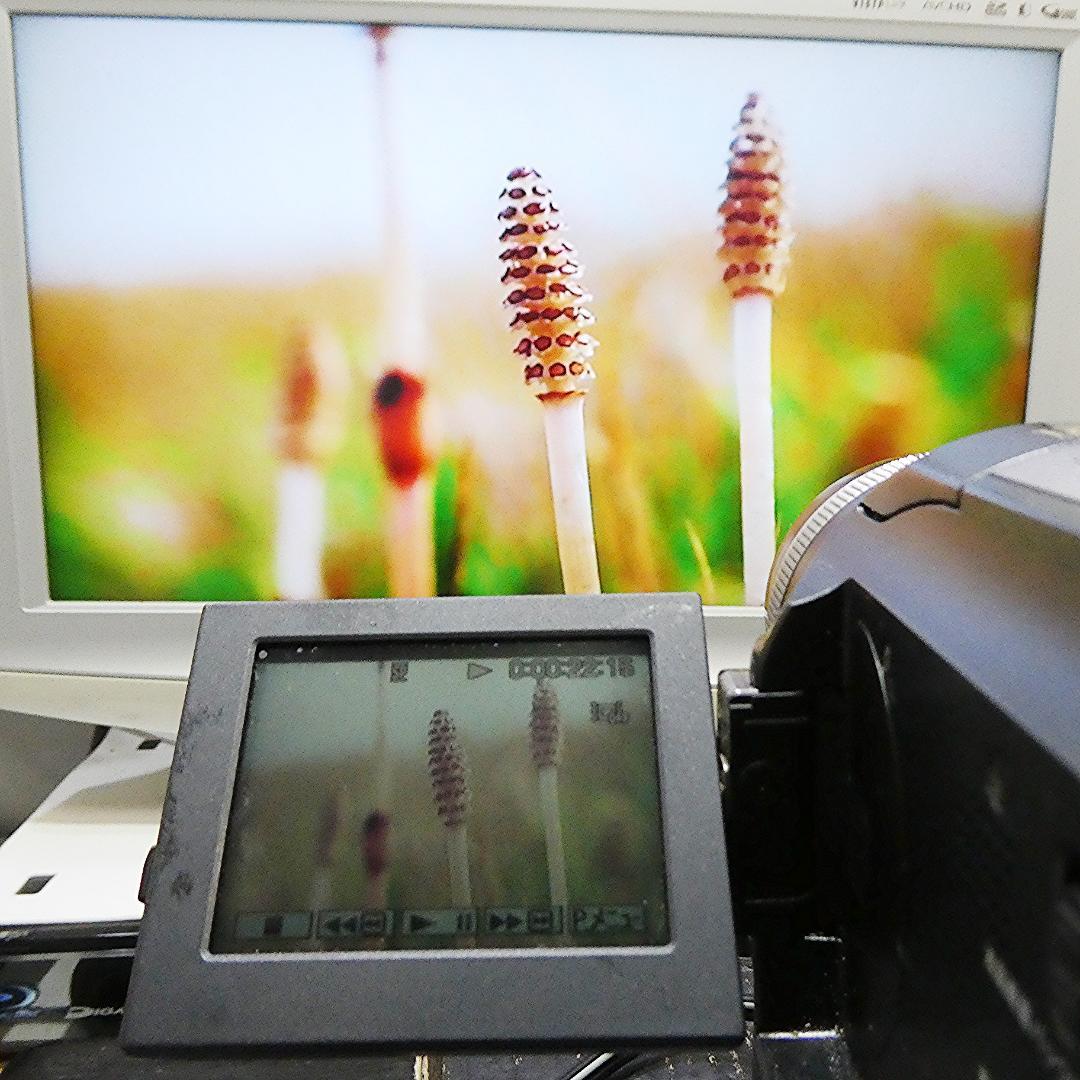 動作品 ソニーDCR-PC300 MiniDV ビデオカメラ DVDダビングに