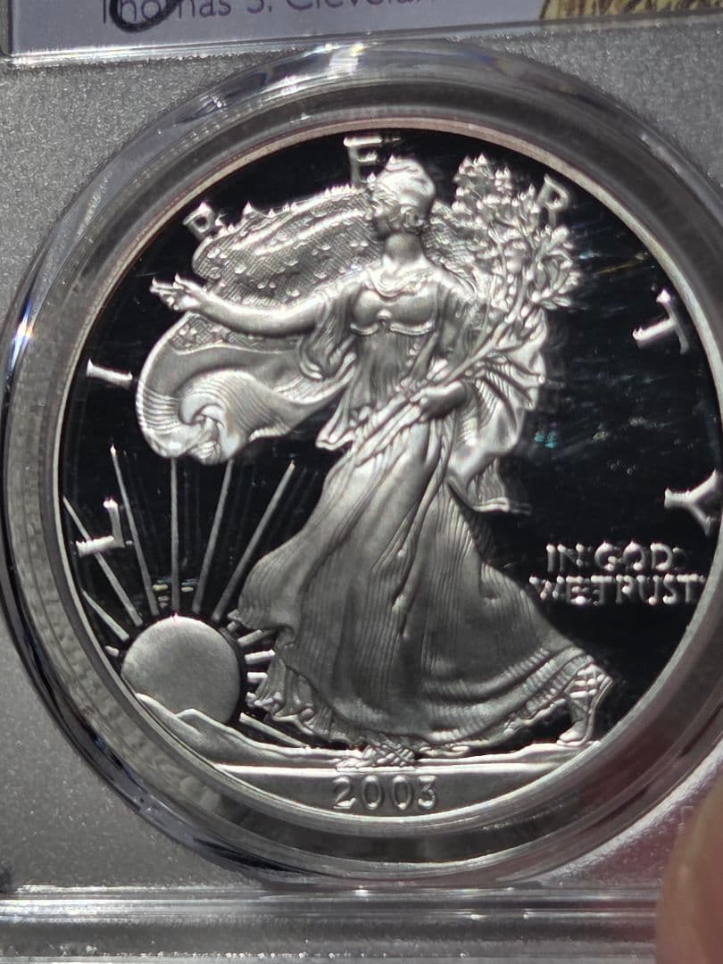 PR69 DCAM)アメリカ合衆国 シルバー イーグル銀貨 2003 W