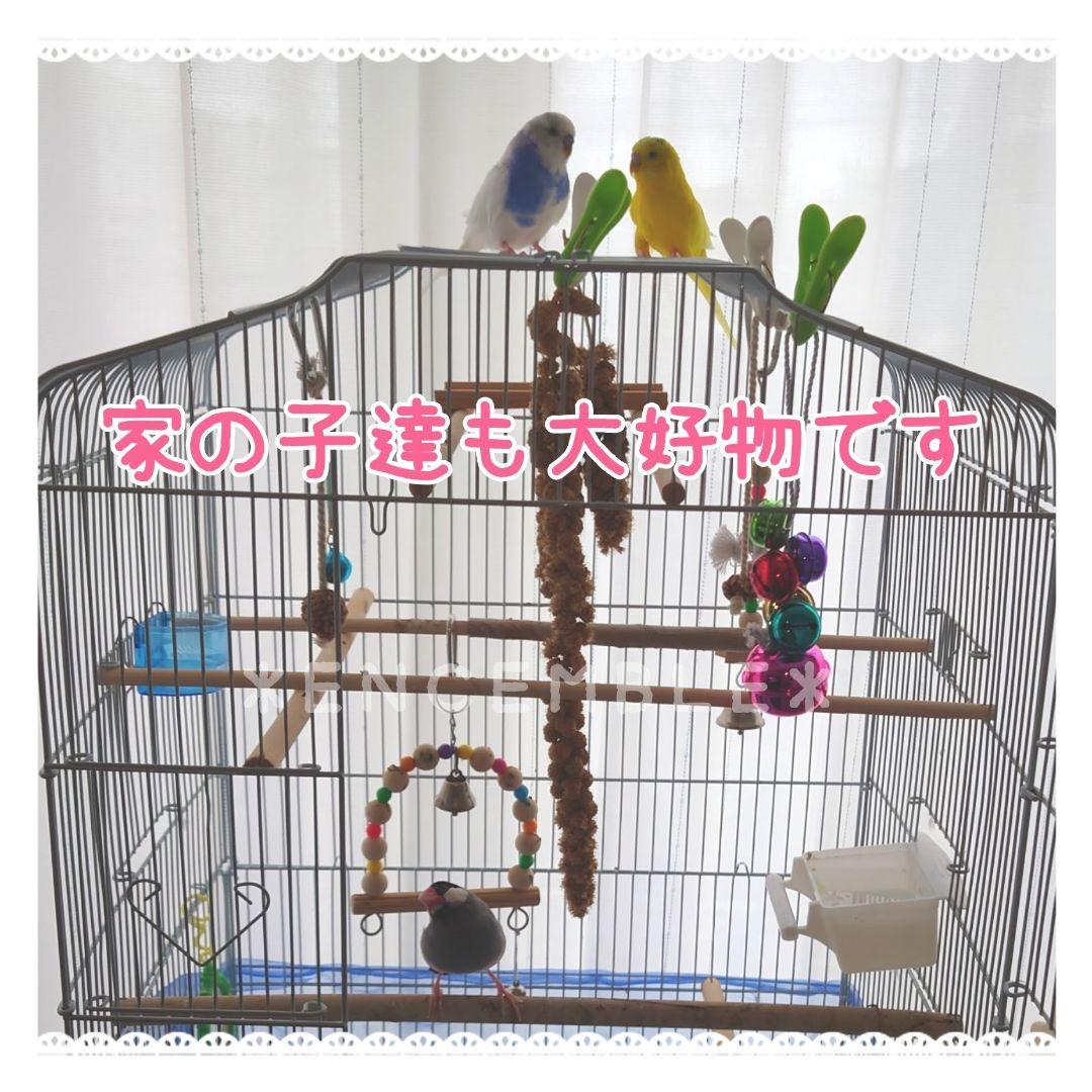 オーダー専用【北海道産】黄粟の穗 300g 令和3年度 無農薬