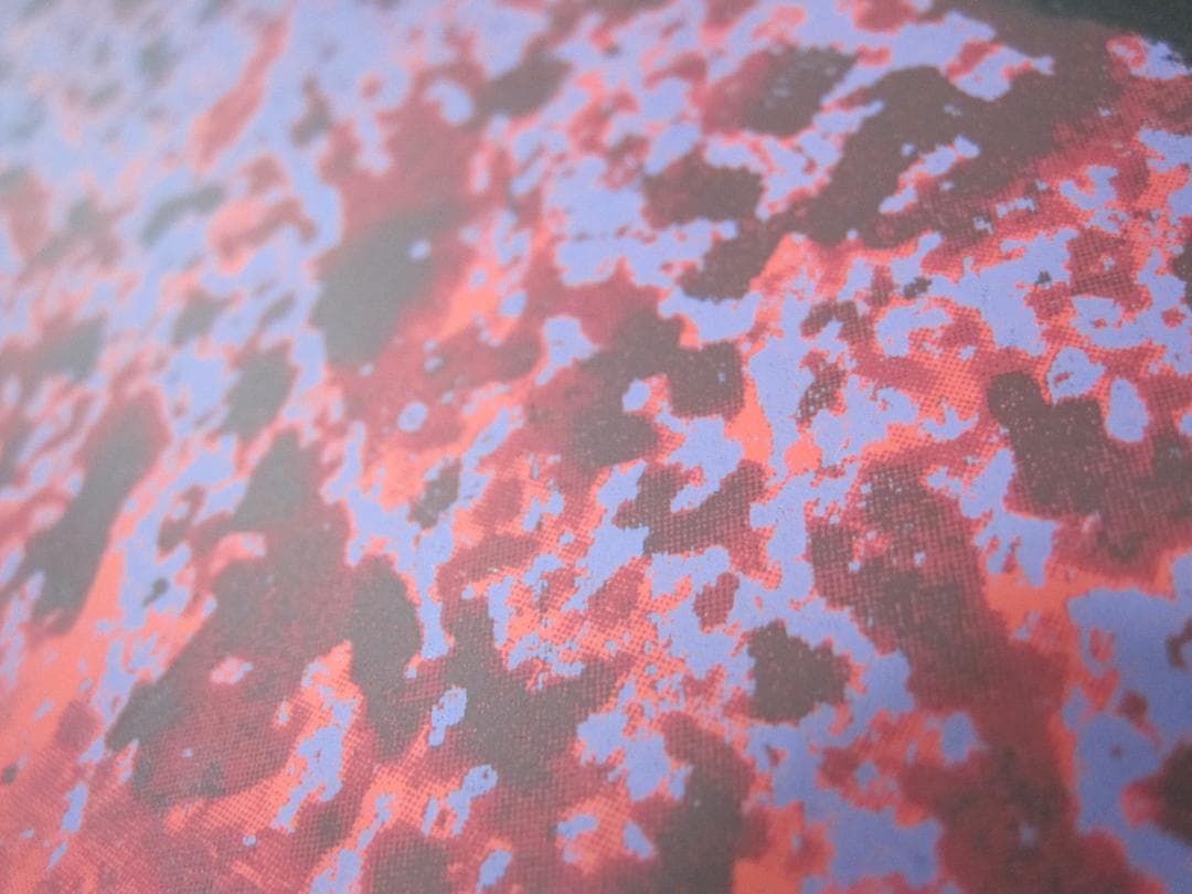 △山本 寛斎 さん ポートレート リトグラフ 版画 37/150 104×75