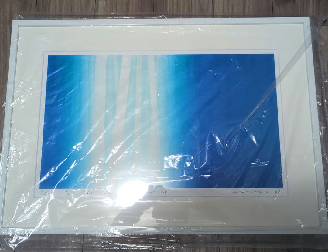 【美品】笠井 正博 光の森 08大型